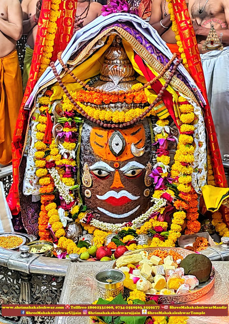 WhatsApp Image 2022-09-24 at 5.43.36 AM (1).jpeg