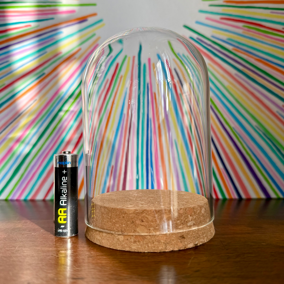 Thumbnail: Large glass dome display case