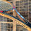 Thumbnail: Vintage wooden Dunlop tennis racket and case