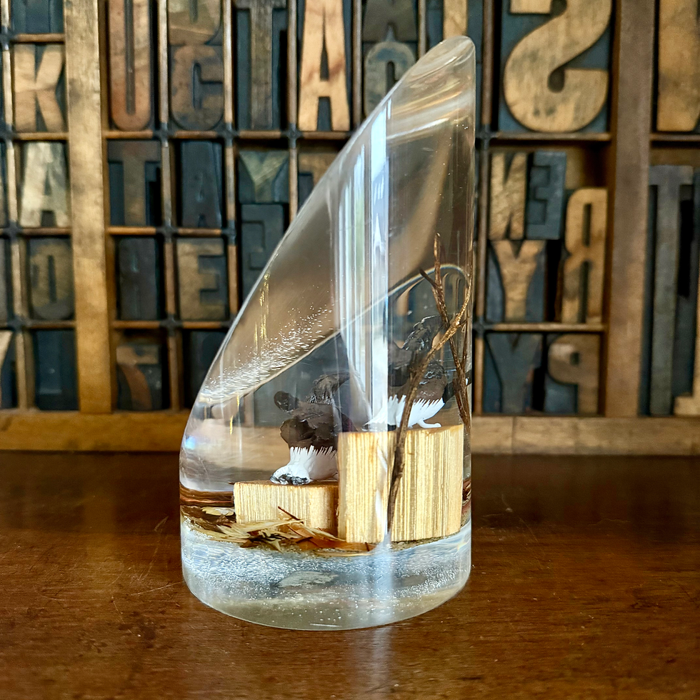 Thumbnail: Large vintage lucite paperweight with ducks scene