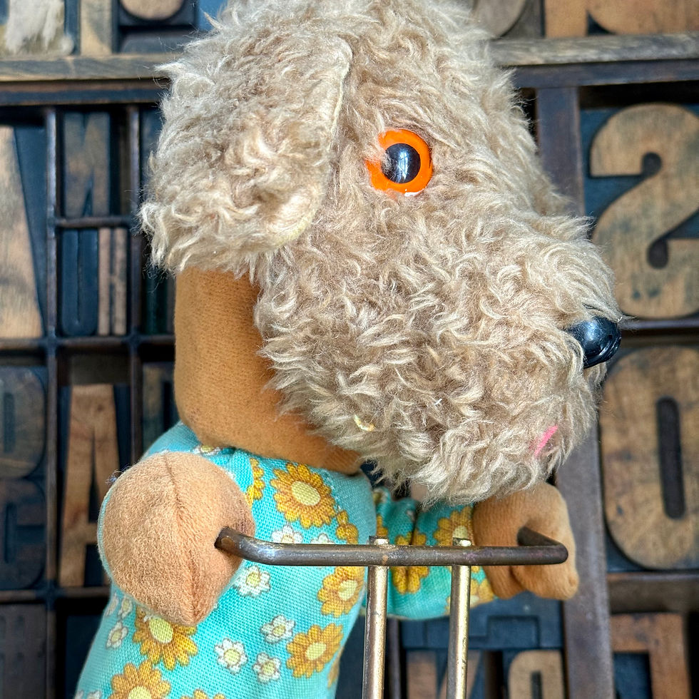 Thumbnail: Vintage plush dog riding a bicycle 