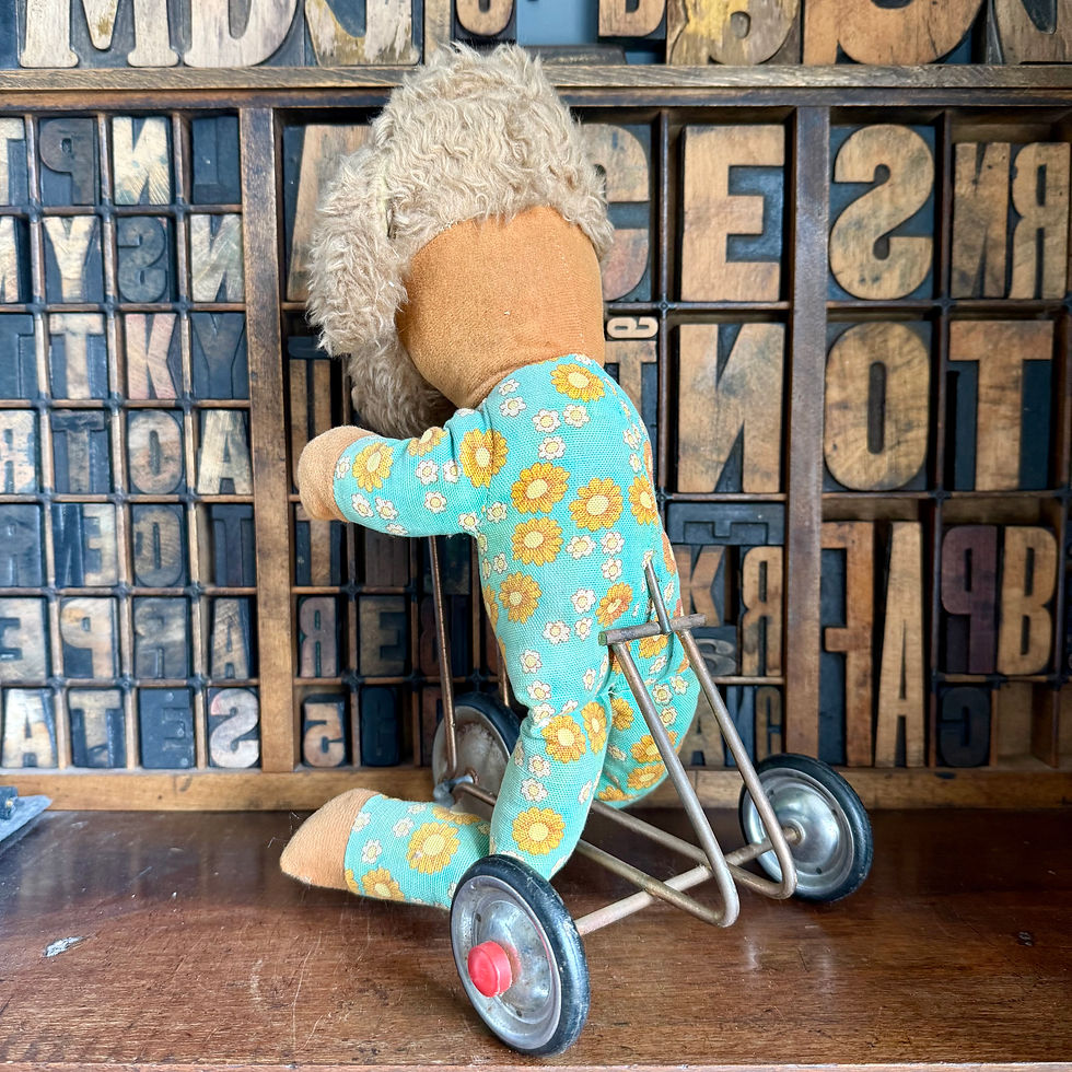 Thumbnail: Vintage plush dog riding a bicycle 