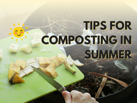 Embrace the Heat: Why Summer is the Best Time to Start Composting