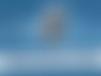 whitecaps home game special