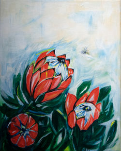 Queen Protea