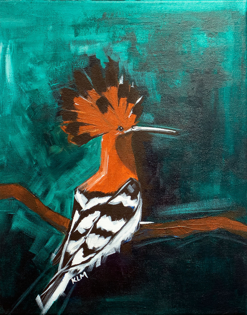 Hoopoe