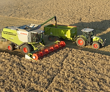 Untitled design (3).png