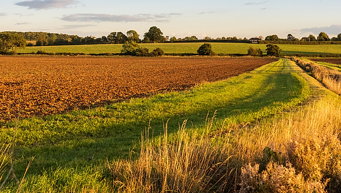 Estate Grounds & Maintenance Manager