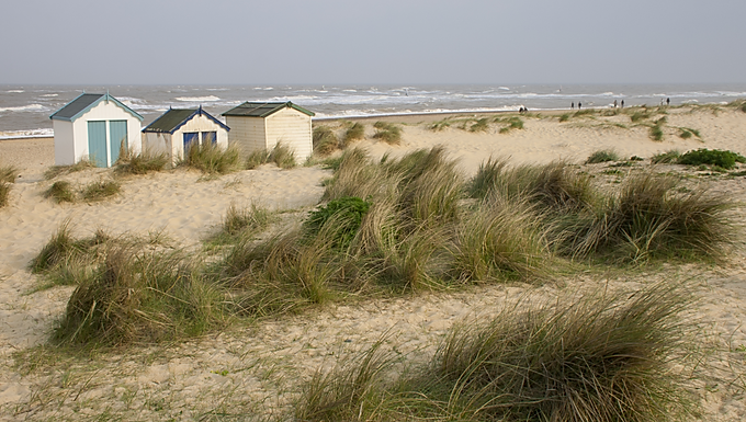 Live-in Private Housekeeper