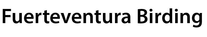 Sin-título-1.gif