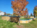 Plywood Rink