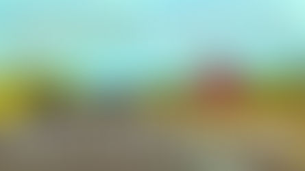 Giving transport operators a platform