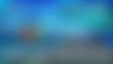 Do not be the next KNP