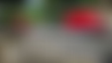 Cost cutting should not harm customer service