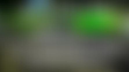 Paper-free logistics at last?