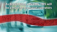 TMS flexibility key for post-Brexit success