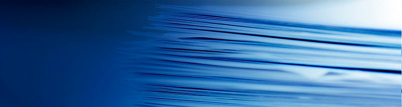 CarrierNet BlogPapers_2.jpg
