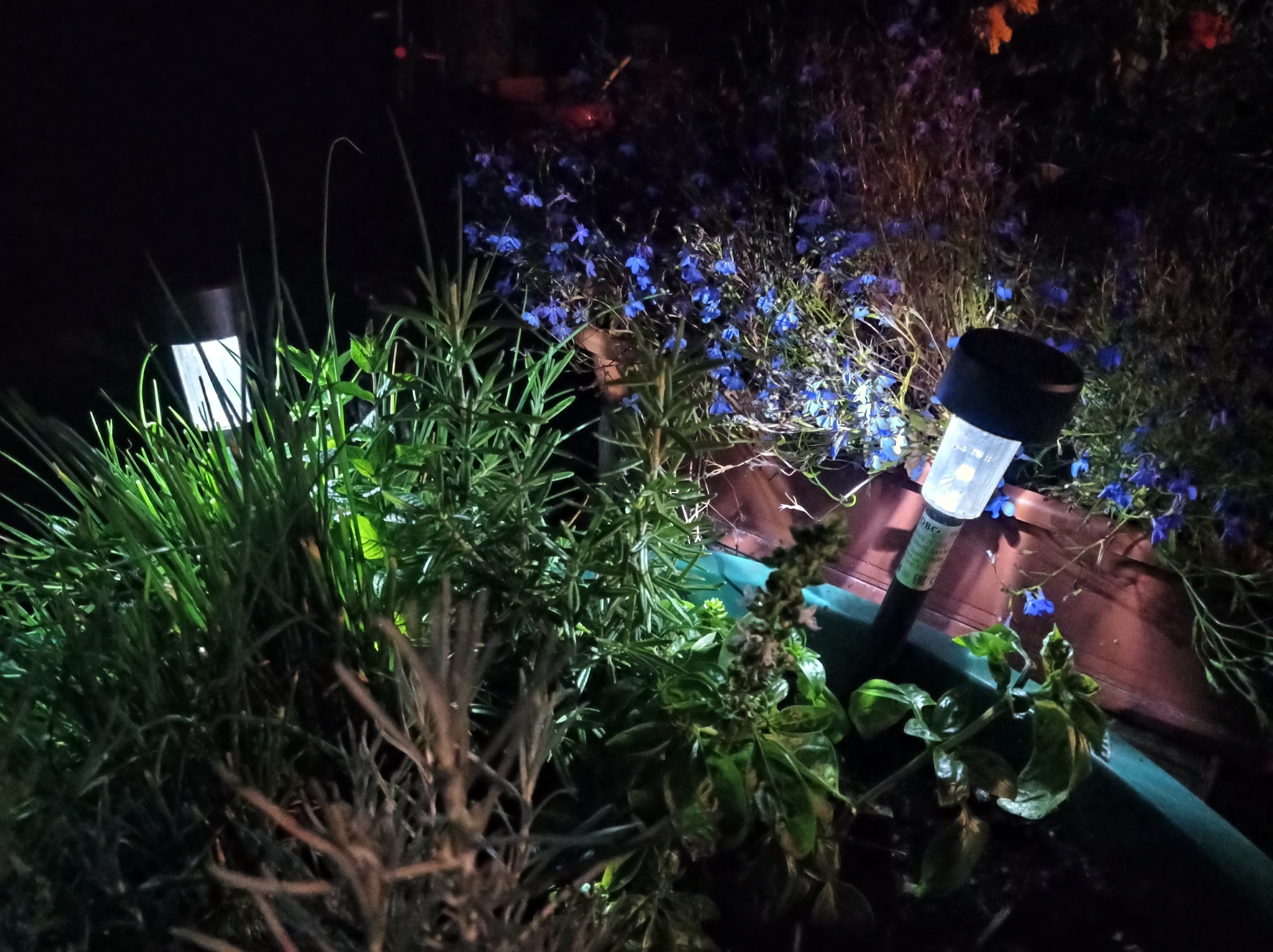 Writer: Annie's Herb Kitchen