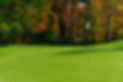 grass-golf-course.jpg