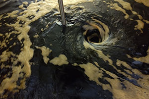 生揚げ醤油300×200.jpg