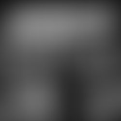 Foundation Updates: September 2024