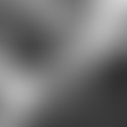 Foundation Updates: August 2024