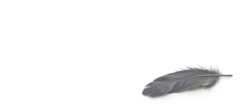 BlackFeatherBackground copy.png