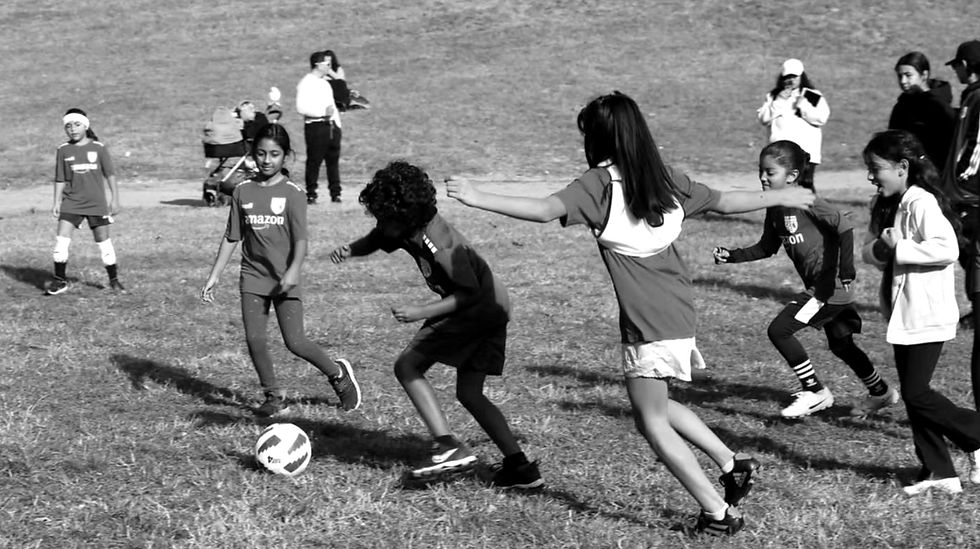 Foundation Updates: November 2024