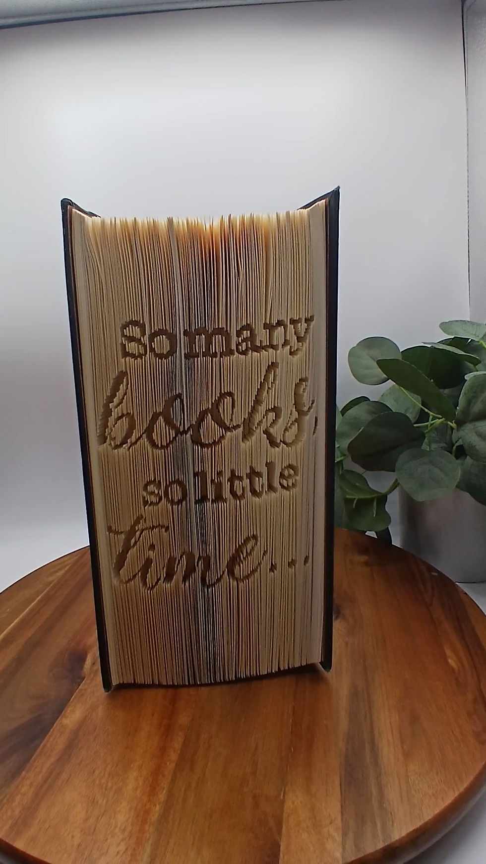Thumbnail: Frank Zappa Quote, Folded Book