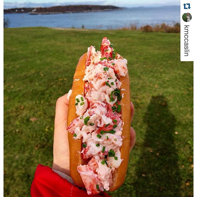 Bite into Maine Lobster Roll Food Truck Cape Elizabeth