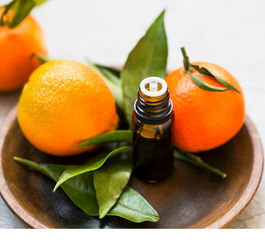 benefits of essential oil, how to use essential oil, massage oil, information on essential oil, guide to essential oil