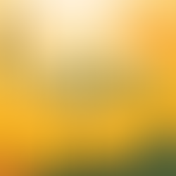 Sejarah Kalender Hijriyah dan Keutamaan 
Bulan Muharram 