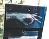 xray_edited.jpg
