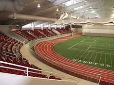 college sports consulting