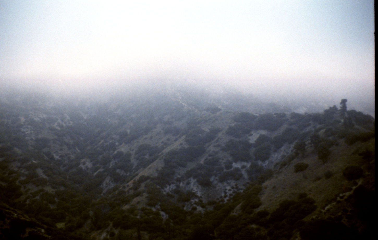 Sequoia-SP2022-72.jpg
