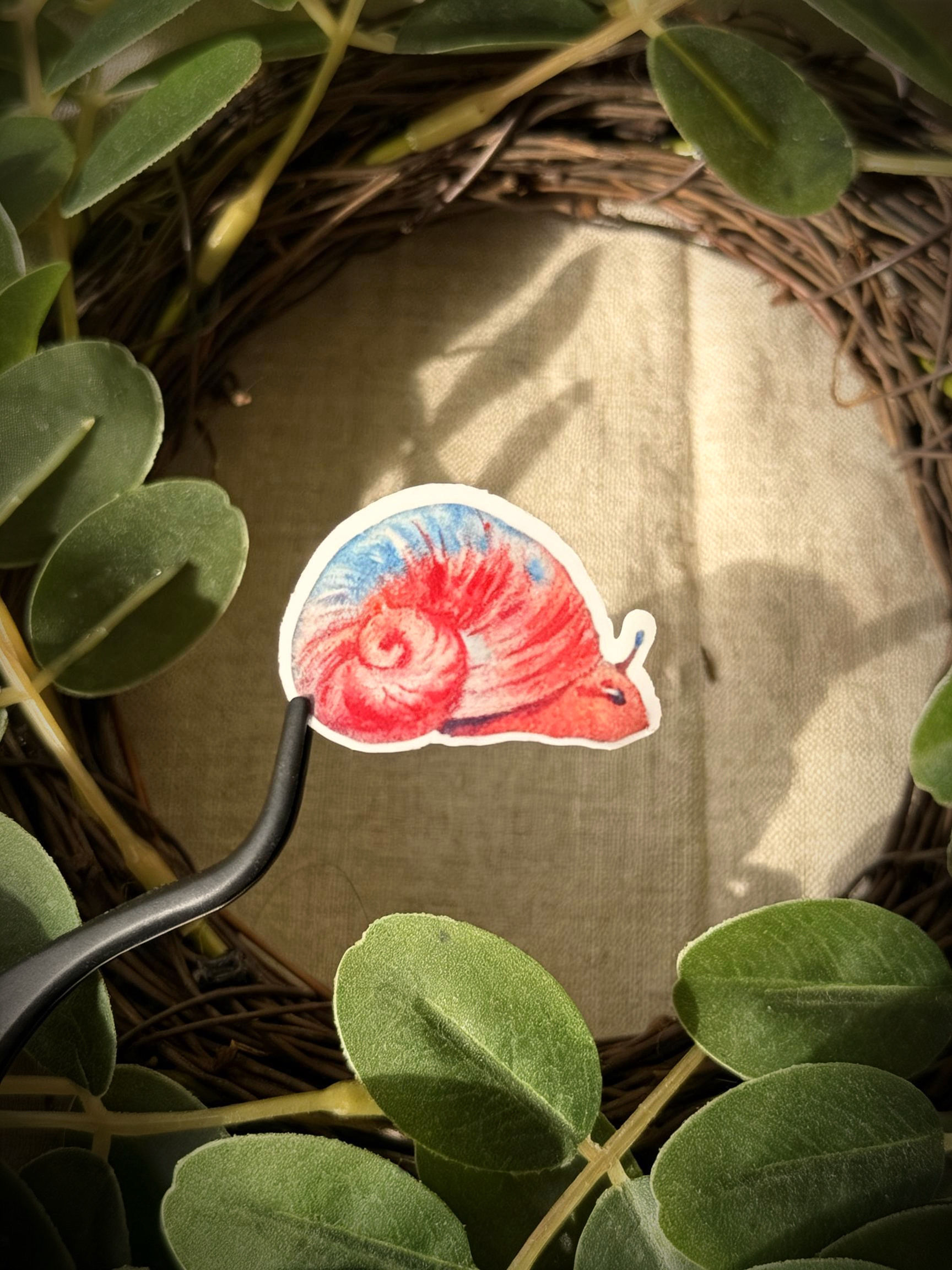 Candy Shelly - watercolor sticker