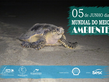 Dia internacional do meio ambiente