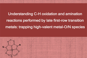 Teresa Corona wins the best PhD Thesis award