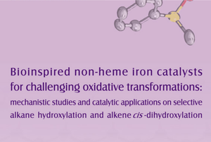 Irene Prat wins the best PhD Thesis award