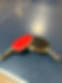 image4.jpeg