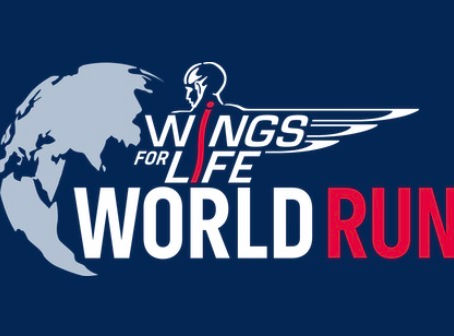 【 Wings For Life World Run 】