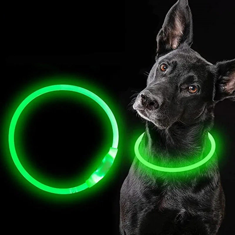 Miniatura: LED Dog Collar – USB Rechargeable Luminous Pet Collar with Adjustable Glow for S