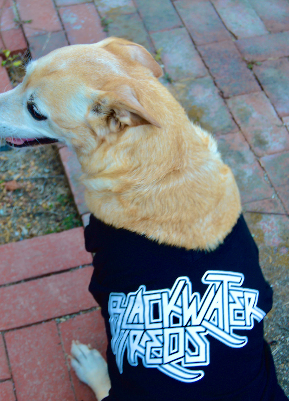 Thumbnail: V-Neck T-Shirt