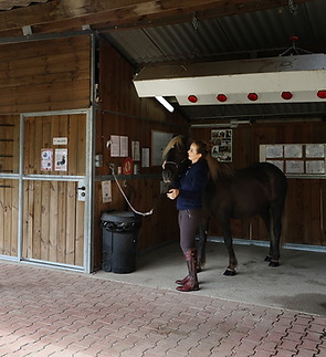 IMG_0540_edited.png