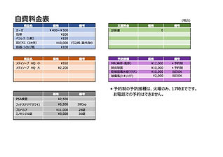 自費 料金表 令和6年8月.jpg