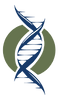 Helix Shape_edited_edited.png