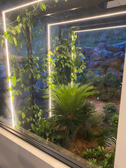 Pergola & Garden bed