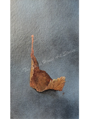 Fallen Leaf