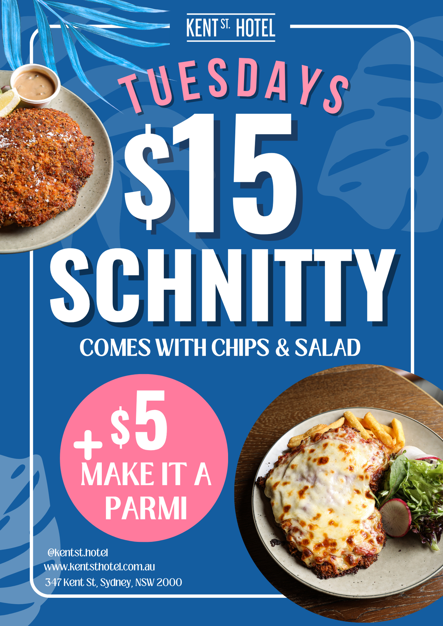 $15 Schnitty