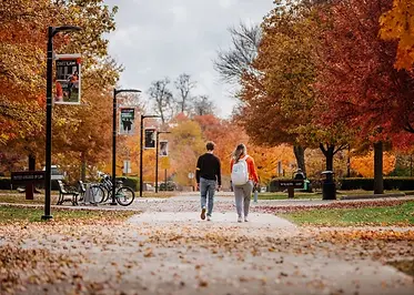 fallcampus_0.webp